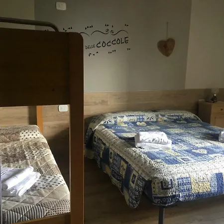 Nani Dolomiti Cedanostra *
